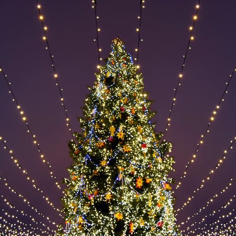 Sapin lumineux extérieur LED décoré Noël